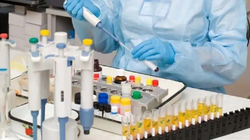 非洲豬瘟防控科普知識(shí)